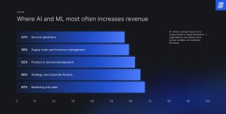 AI revenue growth by business function over the past 12 months